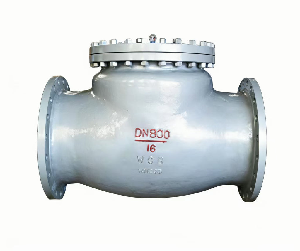 Swing check valve