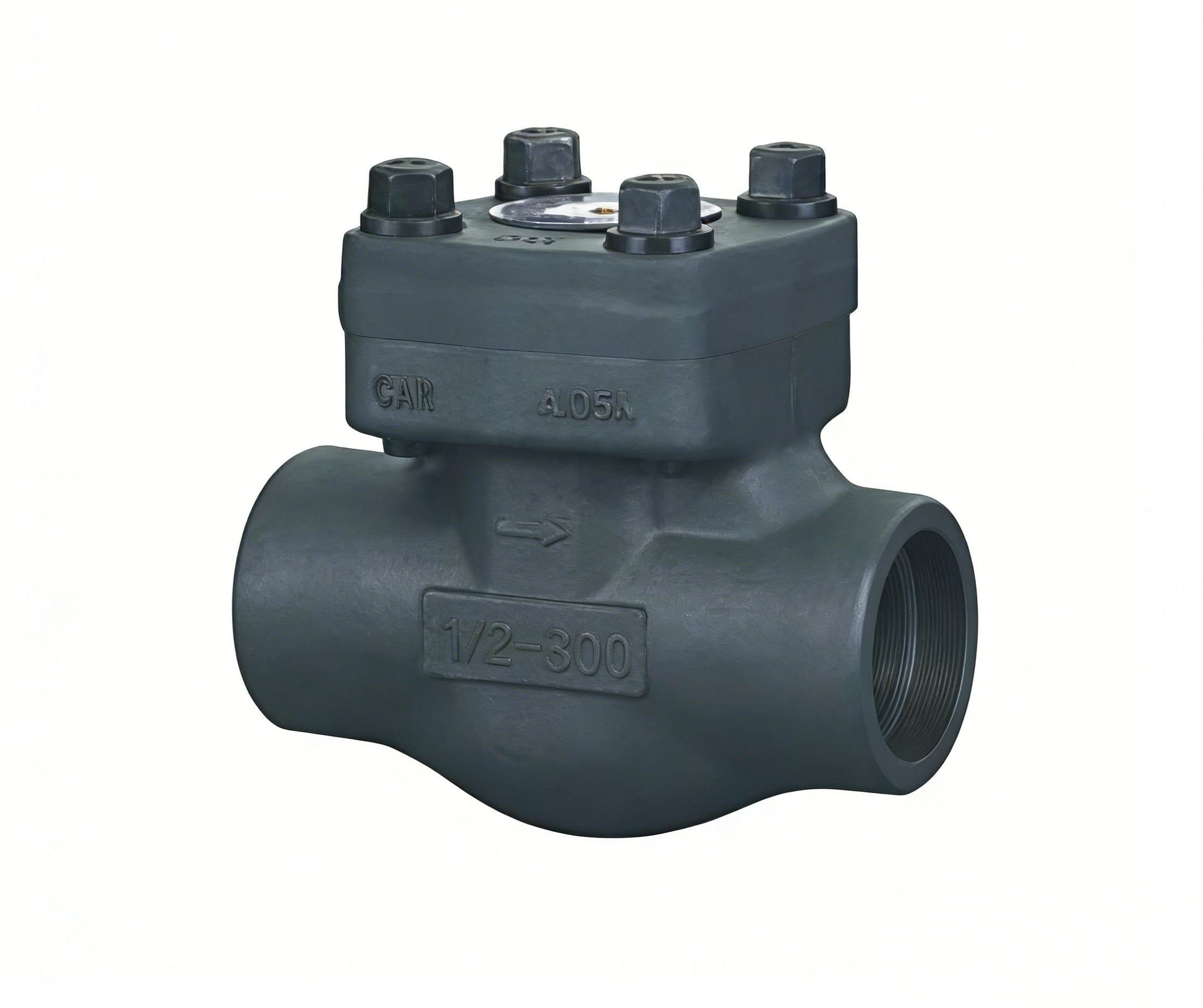 Forged steel check valve