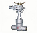 Power station gate valve