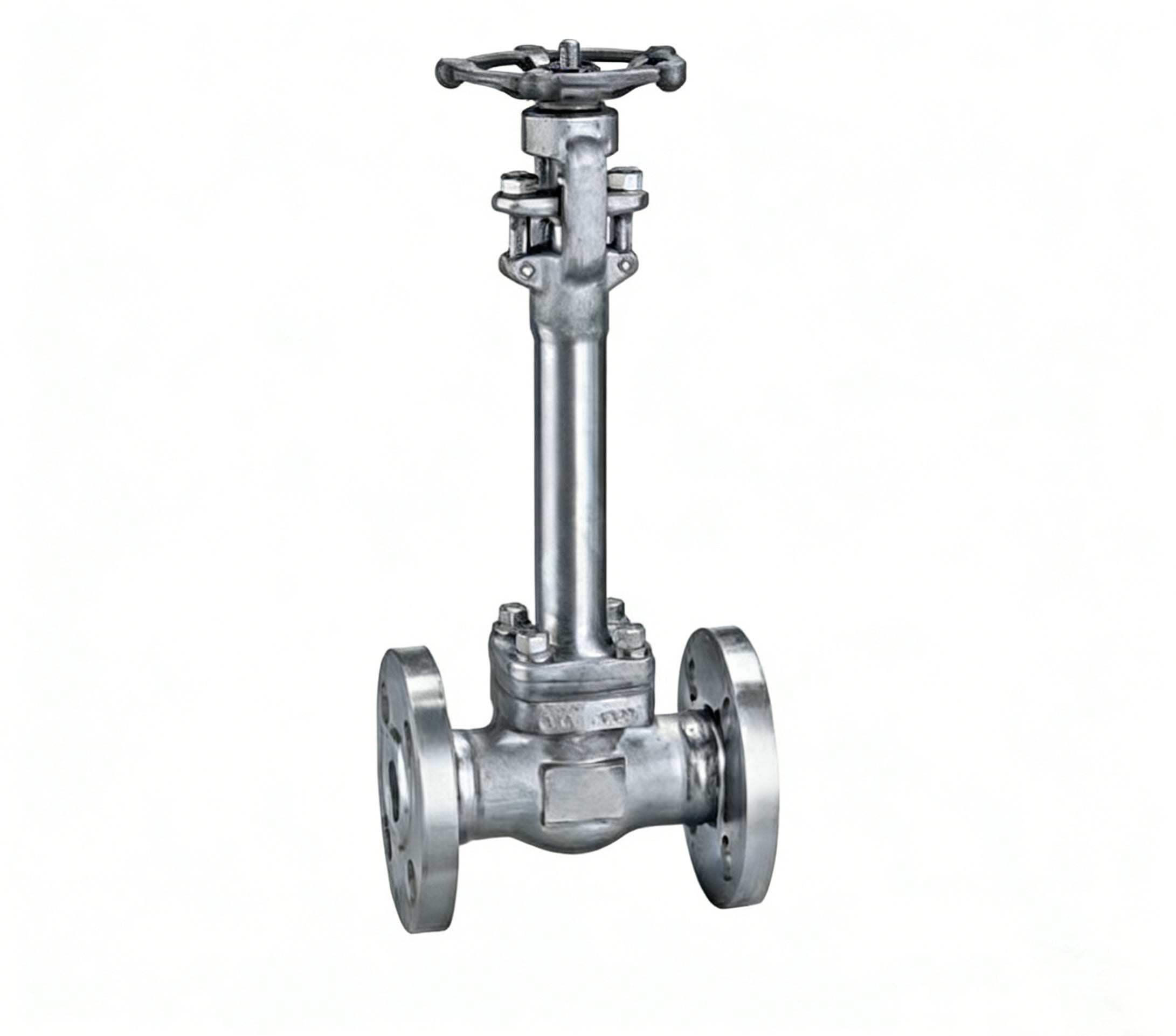 Forged Steel Gate Valve