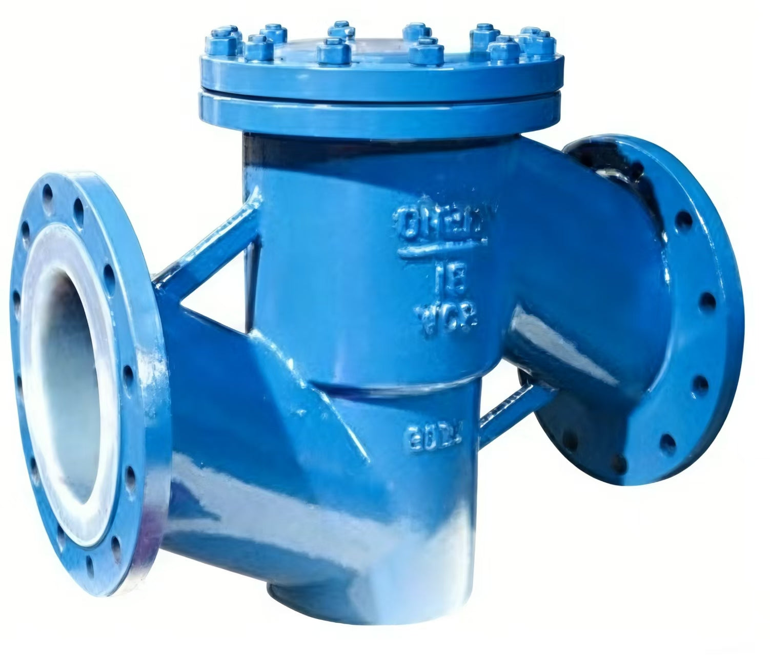 Fluorine-lined check valve