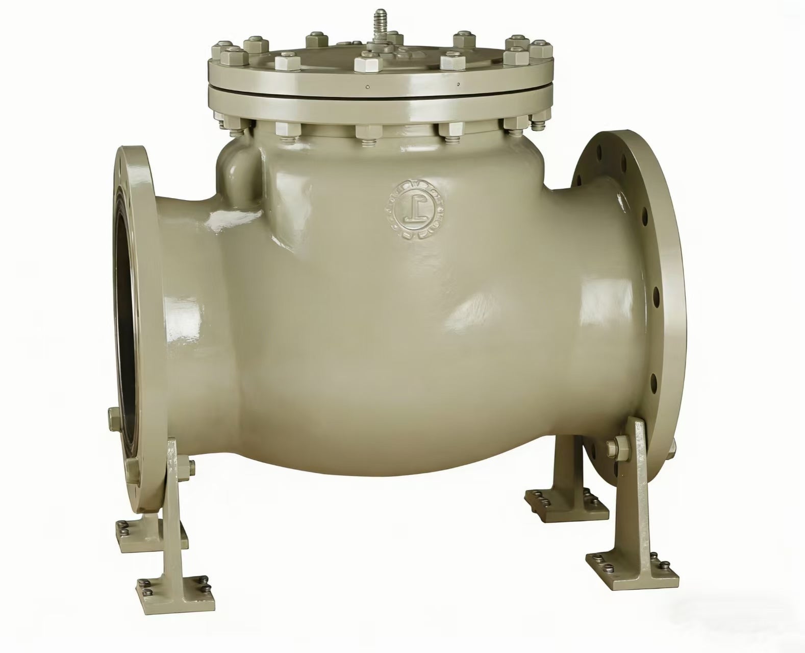Swing check valve