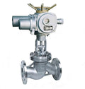 Electric globe valve