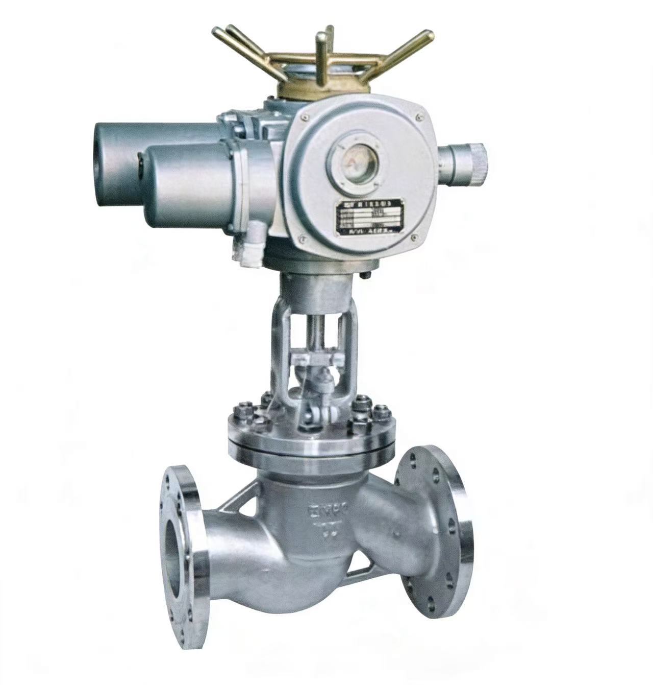Electric globe valve
