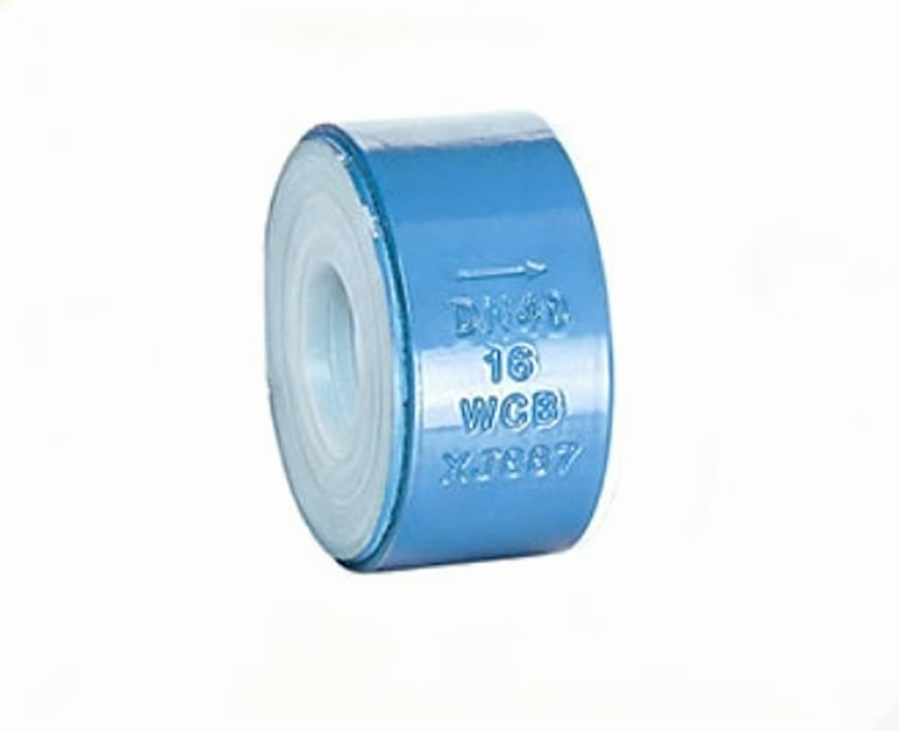 Fluorine-lined check valve