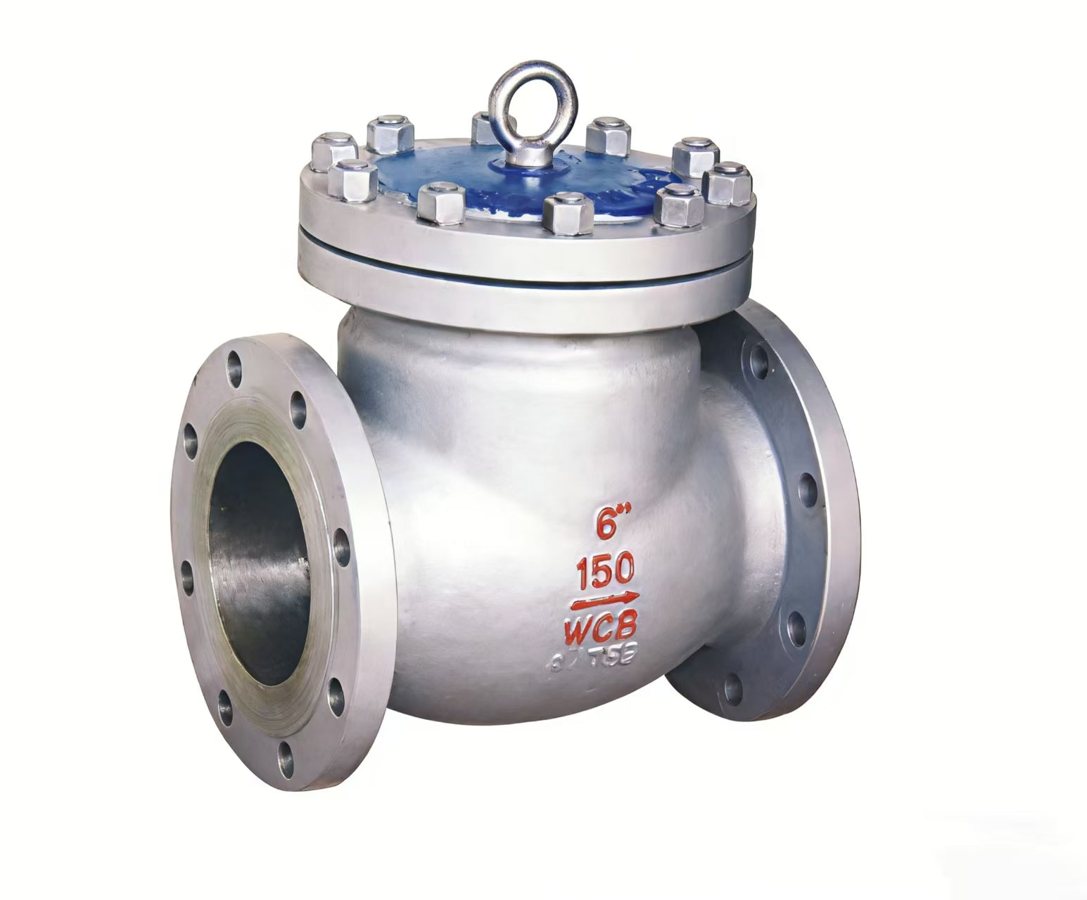 Swing check valve