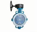 Fluorine lined butterfly valve