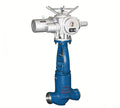Power station shut-off valve