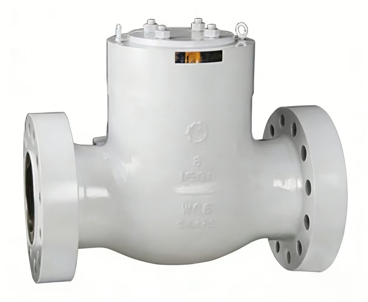Swing check valve